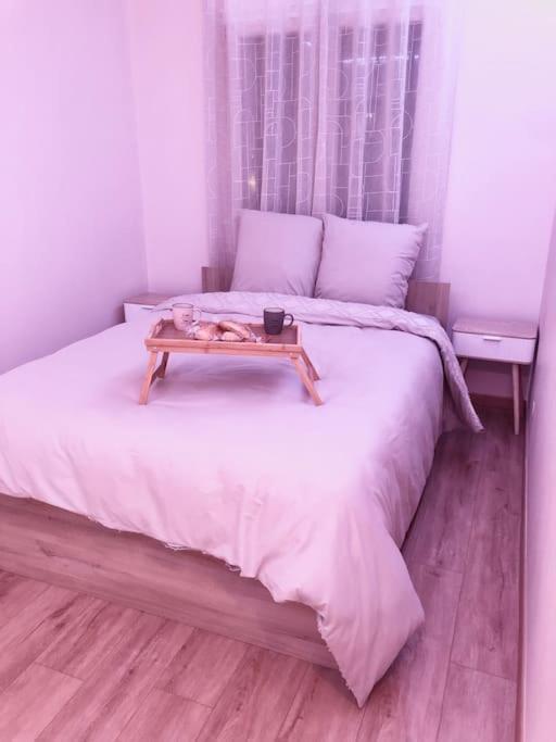 Superbe Appartement Tout Equipe, Le Nid D'Eva A Metz Gare, Parking Prive, Balcon, F2, 50M2, 3P Exterior foto