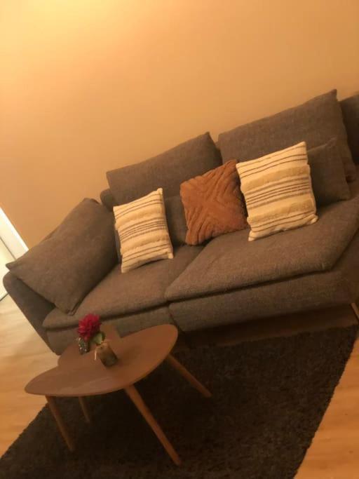 Superbe Appartement Tout Equipe, Le Nid D'Eva A Metz Gare, Parking Prive, Balcon, F2, 50M2, 3P Exterior foto